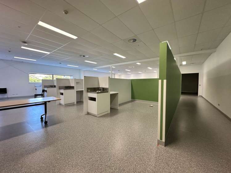 3 Akoranga Drive Northcote_8