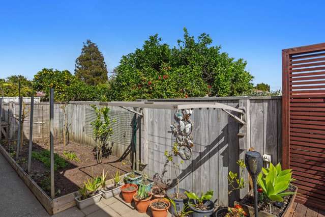 13a Beach Street Whakatane_4