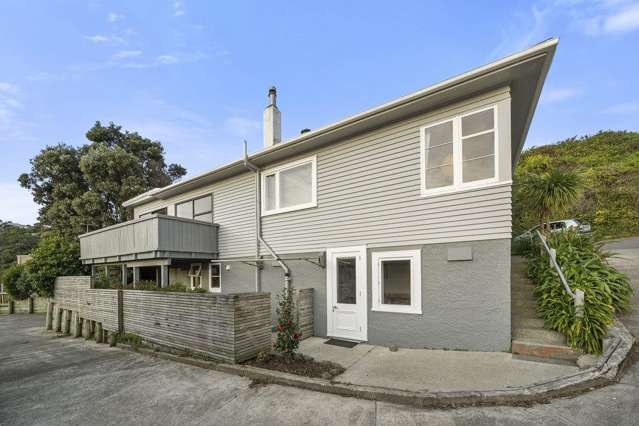 161 Totara Road Miramar_1