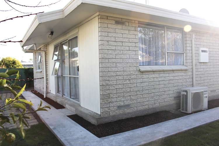 14a Blomfield Street Nawton_8