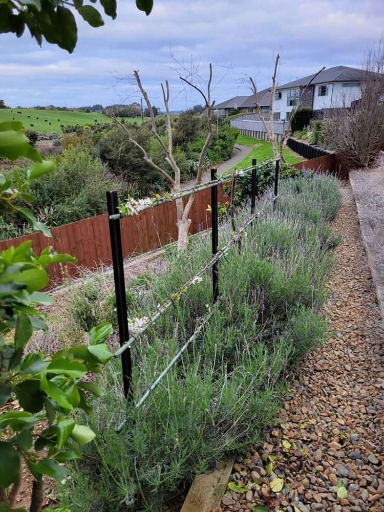 28 Helenslee Road Pokeno_16