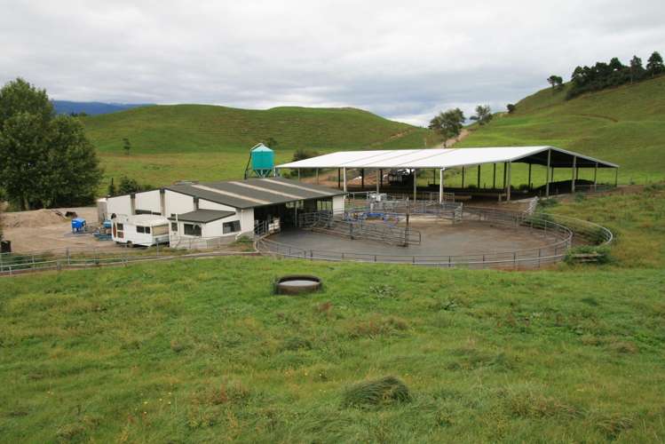 688 Junction Road Burgess Park_27