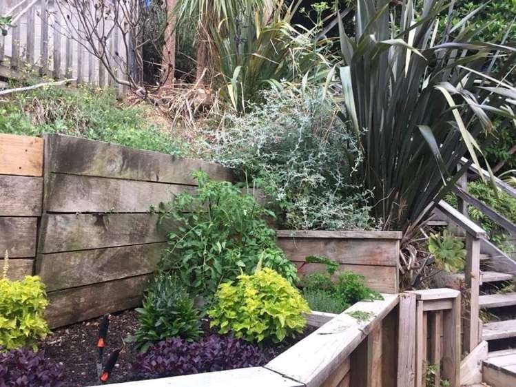 50b Maupuia Road Miramar_15