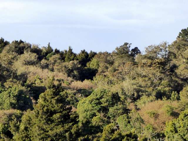 1278 Poihipi Road Oruanui_2