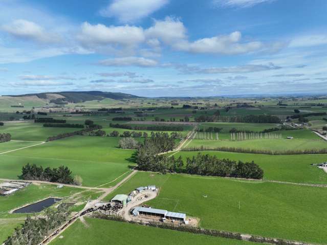 113 Scott Road Milton_3