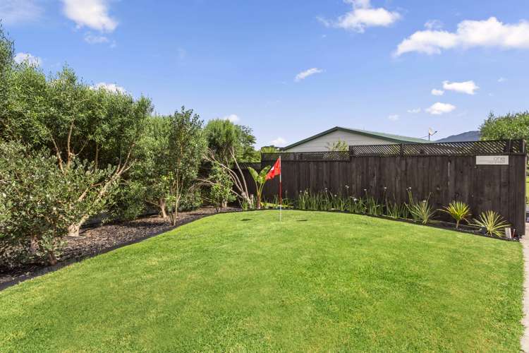 1 Lily Street Raglan_6