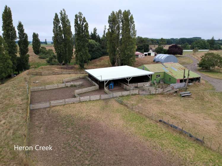 3389 State Highway 2 Takapau_15