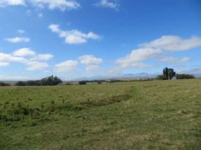 Tregonning Road Otago_1