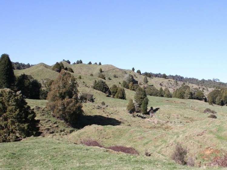 1427 Waitaanga Road Ohura_18