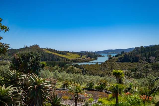 125b Frantoio Ridge Road Mangonui_4