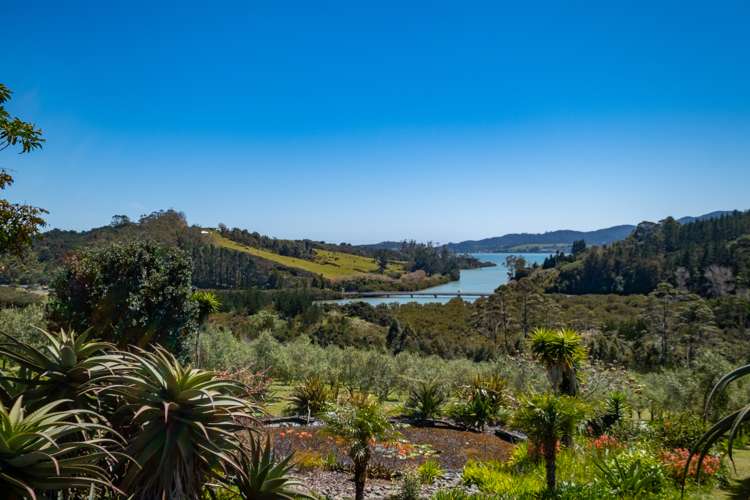125b Frantoio Ridge Road Mangonui_4