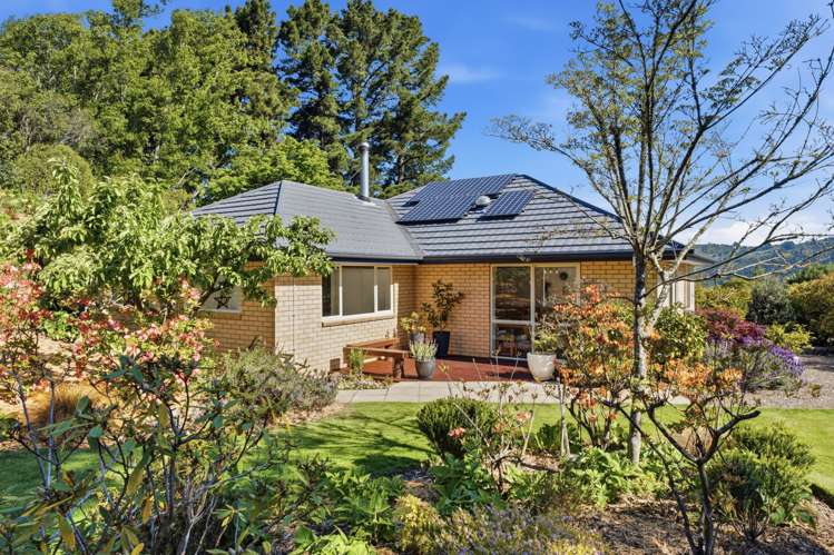35A Shalamar Drive Cashmere_24
