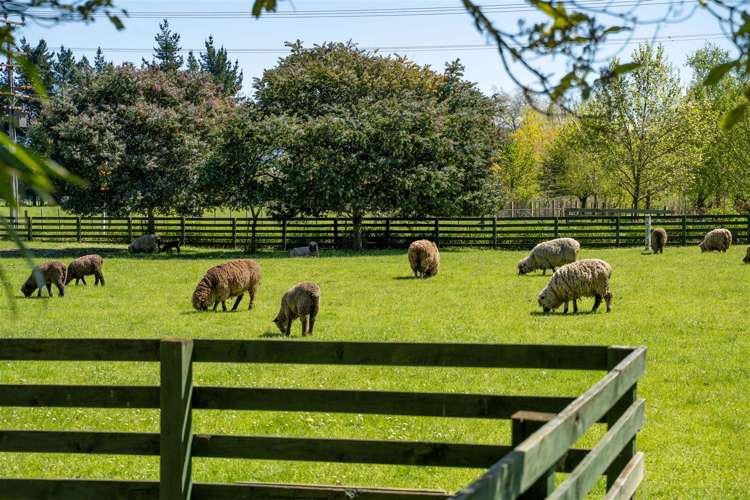 8 Homebush Road Masterton_24