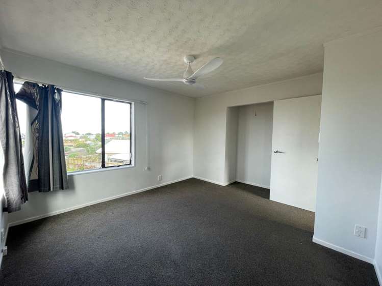 399 Roscommon Road Clendon Park_6