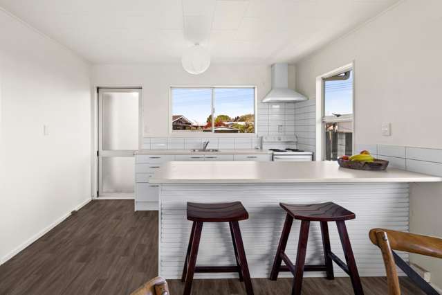 17 Lander Street Flaxmere_1