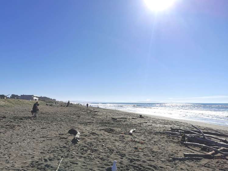 8 Pages Road Linwood_7