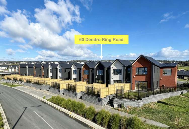 60 Dendro Ring Road_0