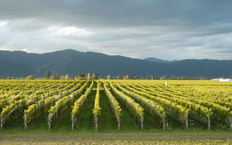 15 Godfrey Road Fairhall_12