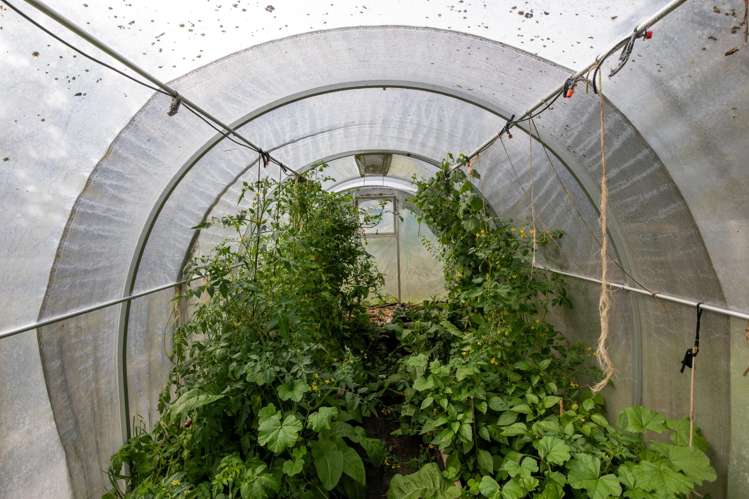 657 Domett Road Domett_30