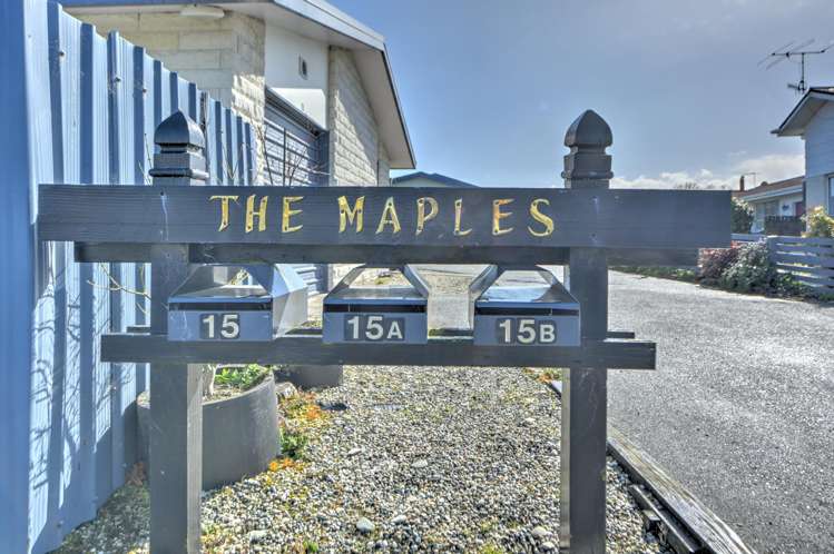 15a Canning Street Gore_19