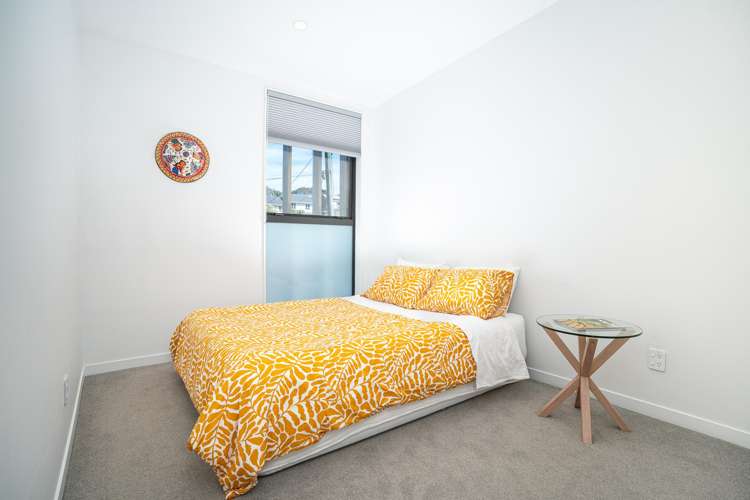 26 Palm Grove Berhampore_22