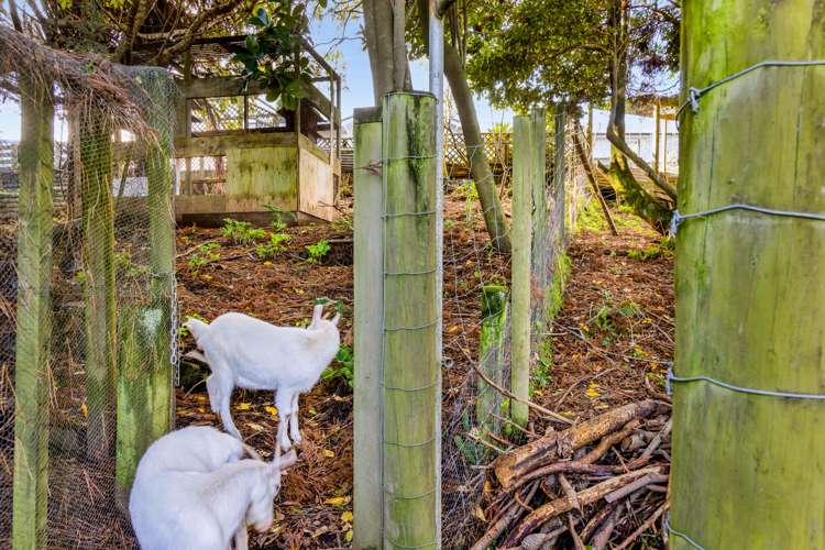 196 Seaview Road Westown_23