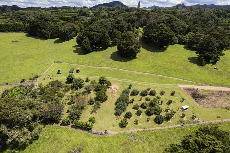 704a Ngunguru Road Glenbervie_3