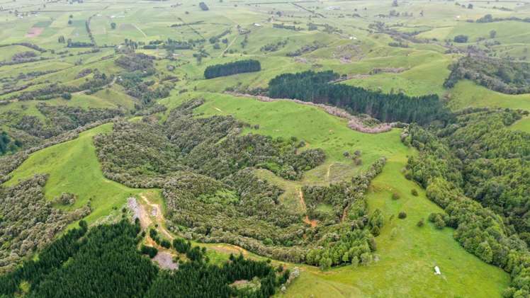 944 Waiti Road Tahuna_10