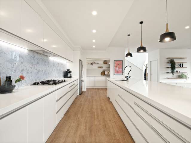 3 Lauriston Street Andersons Bay_3