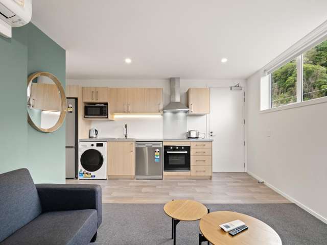 7, 9, 11/33 Malvern Street Woodhaugh_2