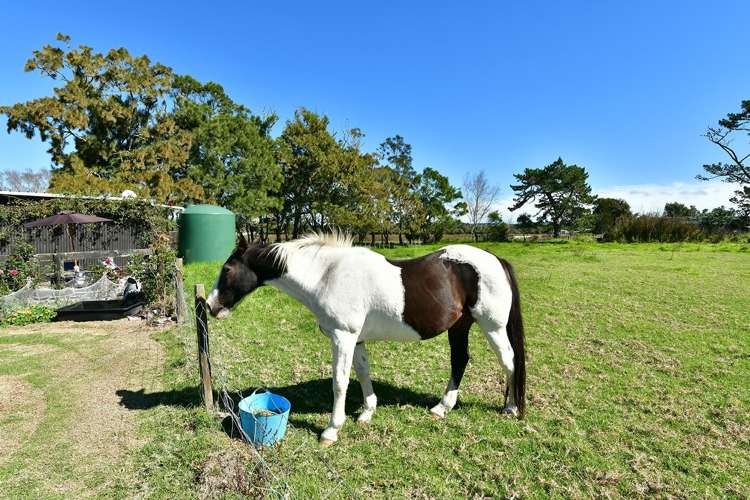 37 Te Pua School Road Helensville_25