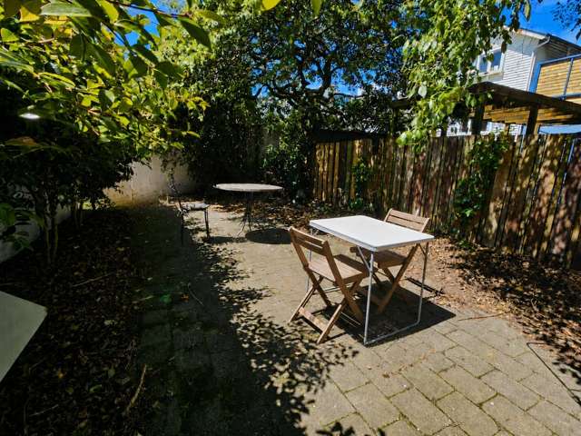 23b Palmer Street 1251_1