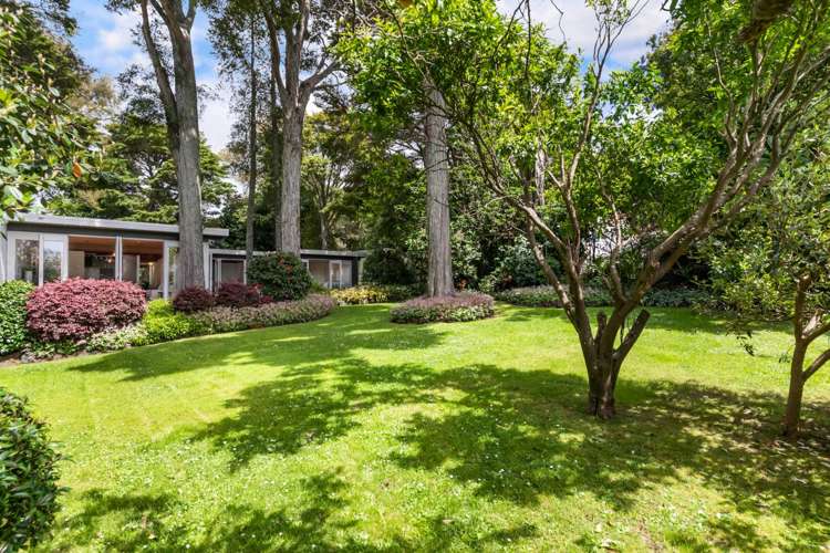 53a Hillcrest Avenue Hillcrest_12