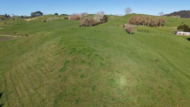 The Duck Shooter's Paradise