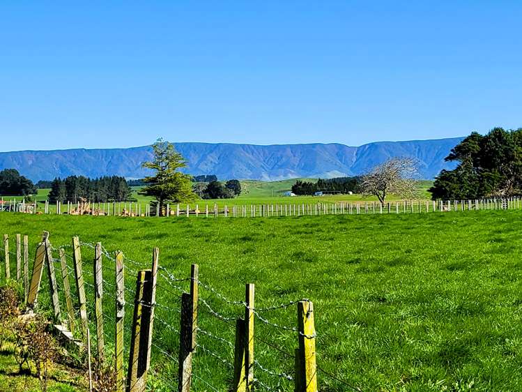 18a Smith Street Dannevirke_7