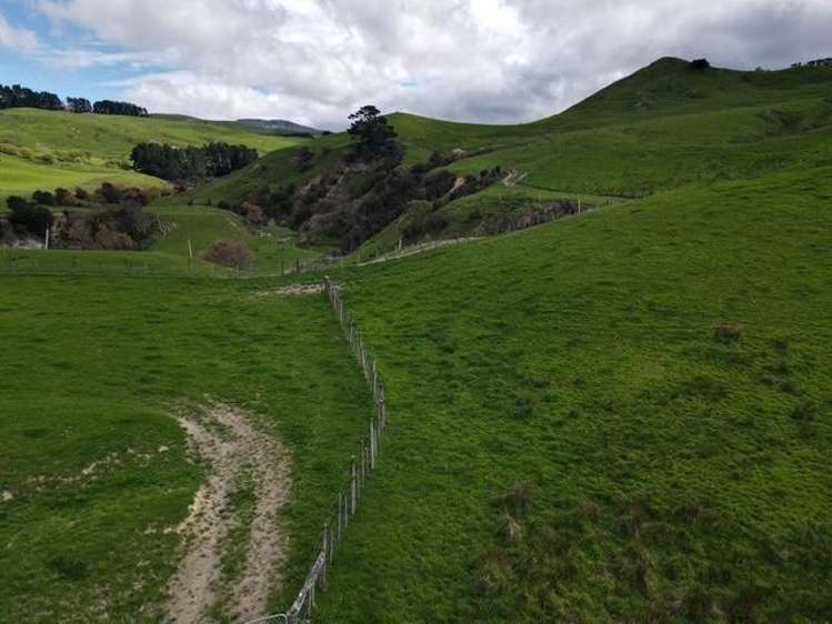 2256 Weber Road Dannevirke_15