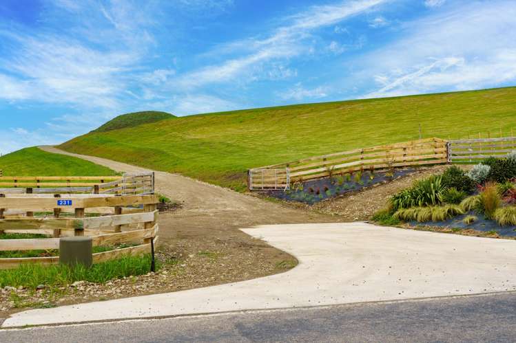 233 Salisbury Road Maraekakaho_13