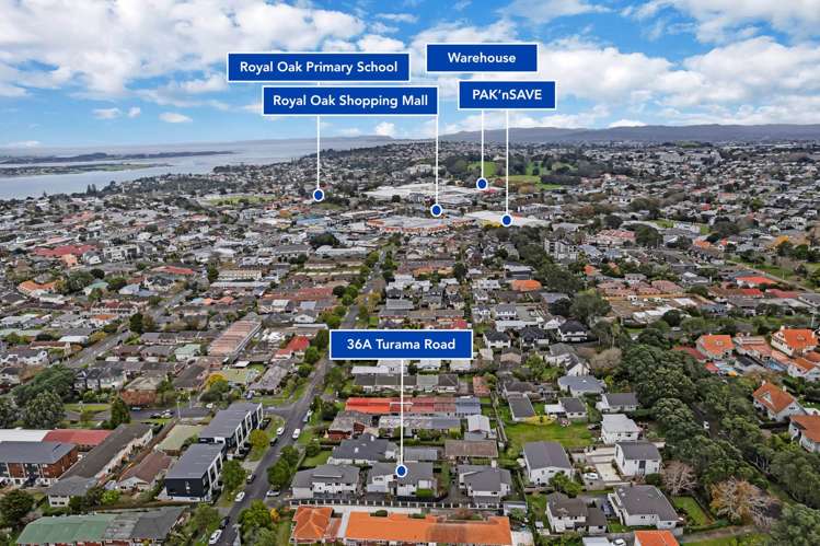 36A Turama Road Royal Oak_23
