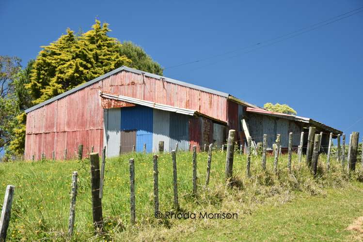 311 Franklin Road Paparoa_38