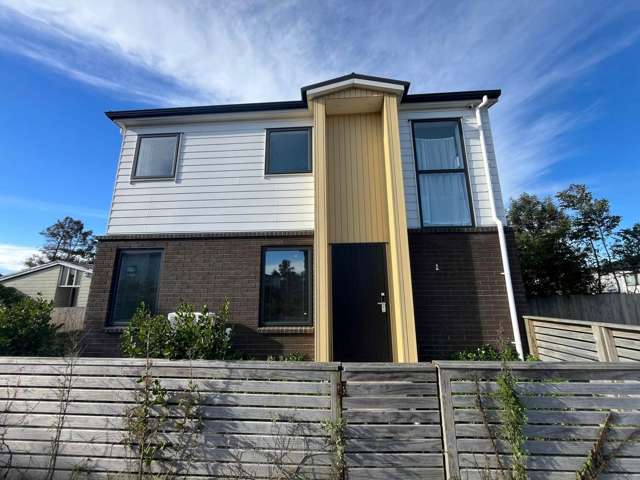 1/30 Ventura Street Mangere_1