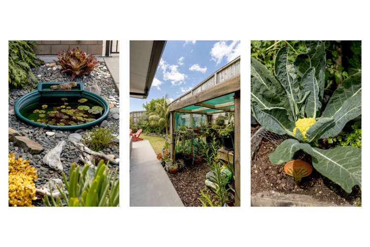 13 Island View Heights Coastlands_16