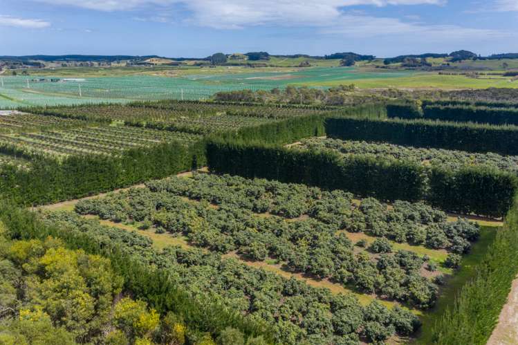 168 Heath Road Awanui_9