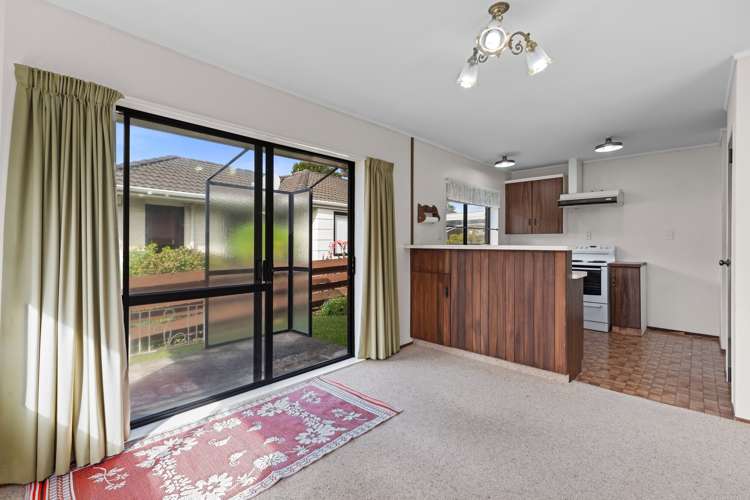 10a Norrie Street Te Puke_5