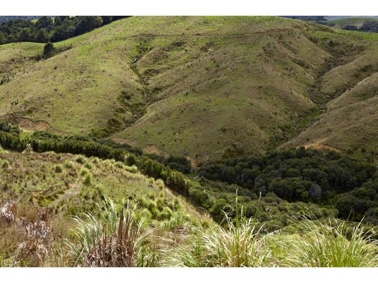 47 Haul Road Tahekeroa_6