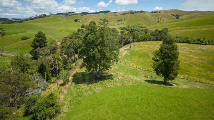 165 and 244 State Highway 25 Waitakaruru_7