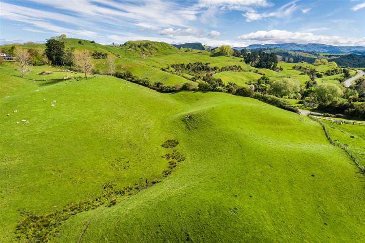 Glengarry Road Hastings Country_18