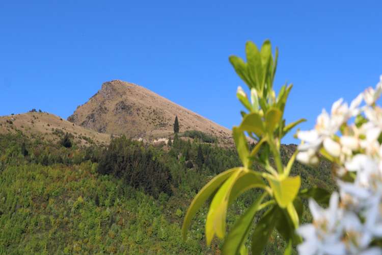 113b Cotter Avenue Arrowtown_17