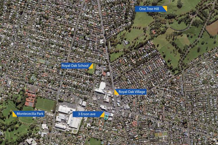 3 Erson Avenue Royal Oak_24