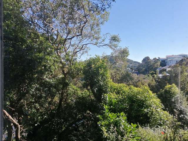 Address withheld Kelburn_4