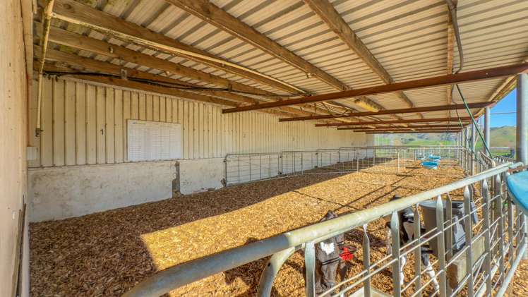 121a Taniwha Road Waiterimu_22